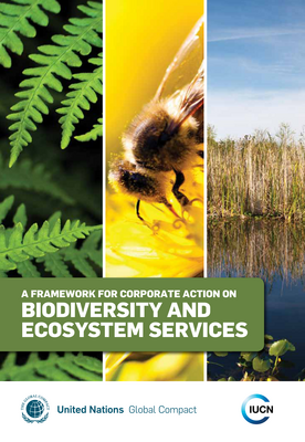 Thumbnail image for This document provides a framework for developing, implementing, and disclosing policies and practices on biodiversity and ecosystem services that are integrated into corporate sustainability strategies.