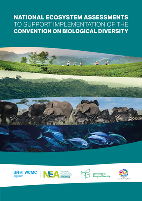 Thumbnail image for These assessments lay out the status of and trends in biodiversity and ecosystem services in any given country, their drivers of change, the impacts those drivers are having today and could have in the future, and the effectiveness of interventions and responses.